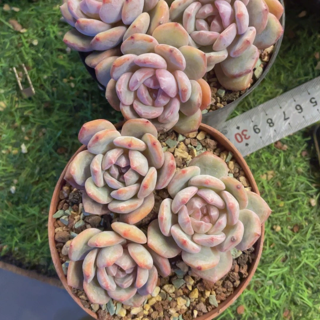 @****?22222222333333