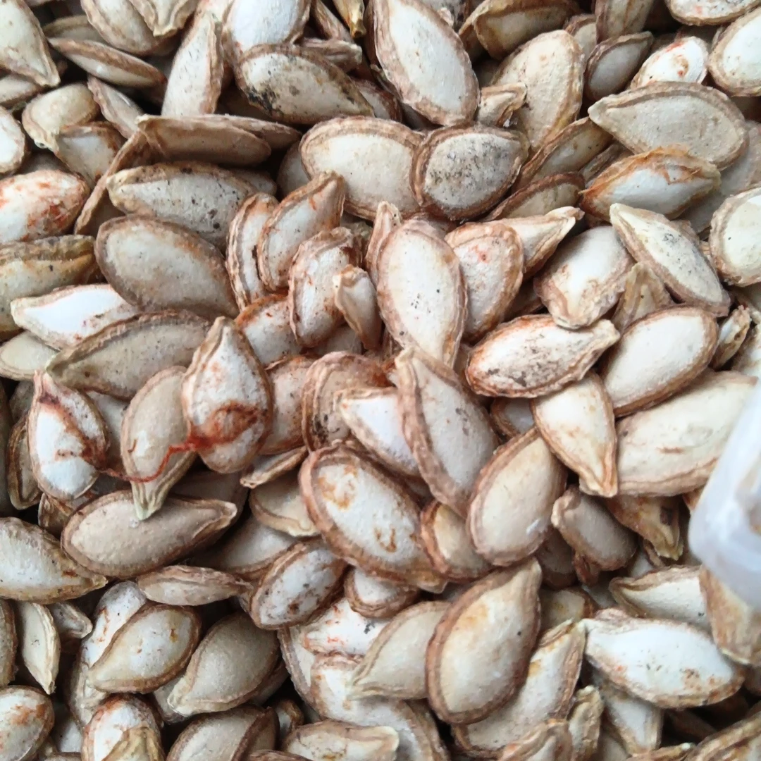 小雅山货推荐【南瓜子】特产推荐