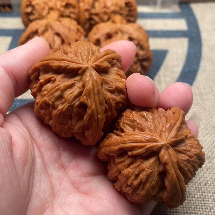 转***生核桃白狮子42核桃