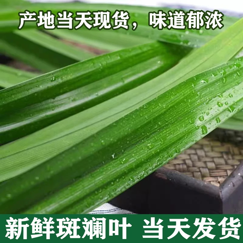 斑斓叶新鲜食用香兰叶班兰叶商用500g蛋糕烘焙甜品千层芒果糯米饭