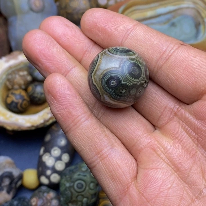 木左四子王旗的历史