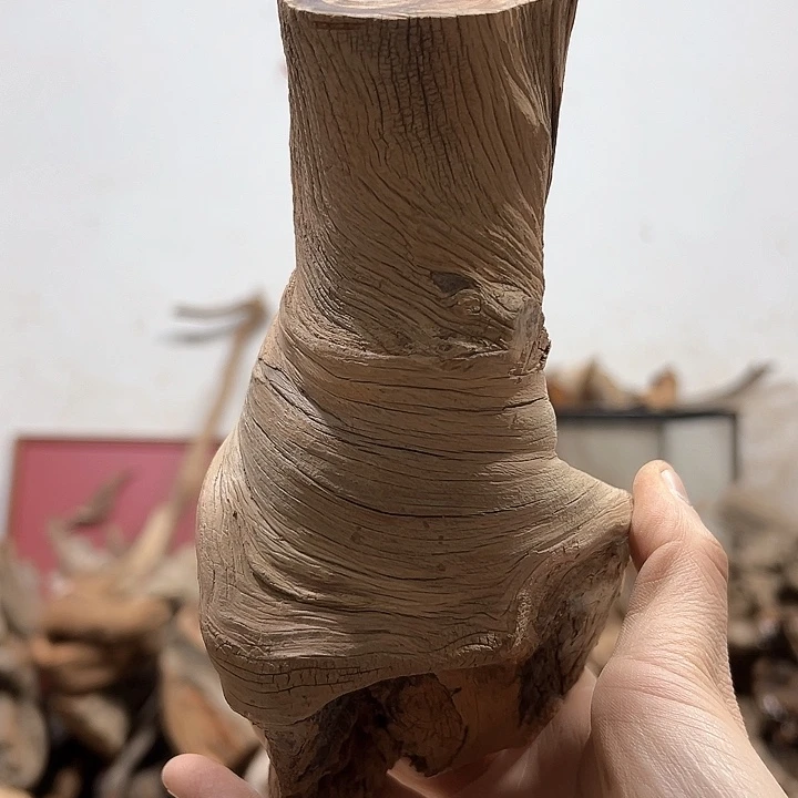 柏木大*轩我们都是好孩子啊我