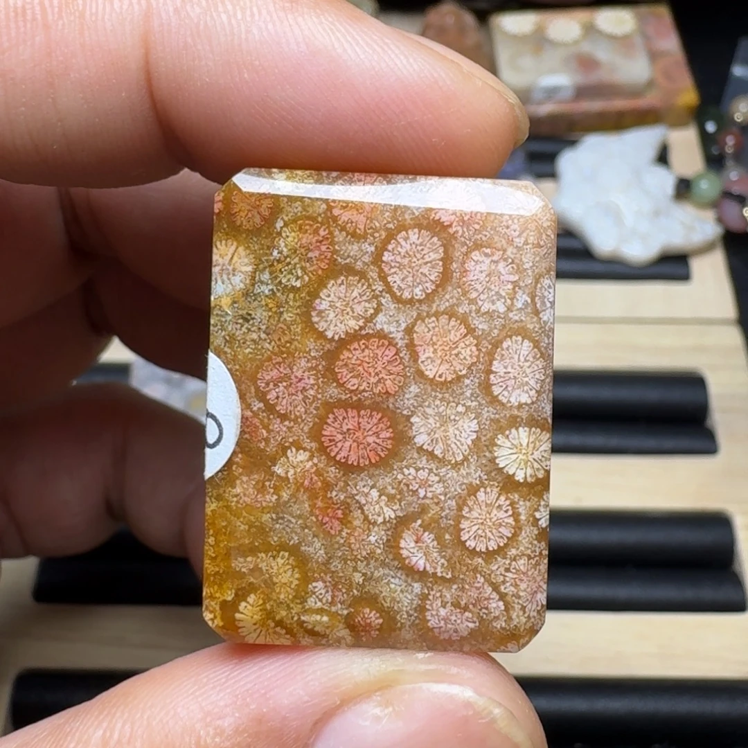未镶嵌纯天然色有机玉石保真色硅化玉