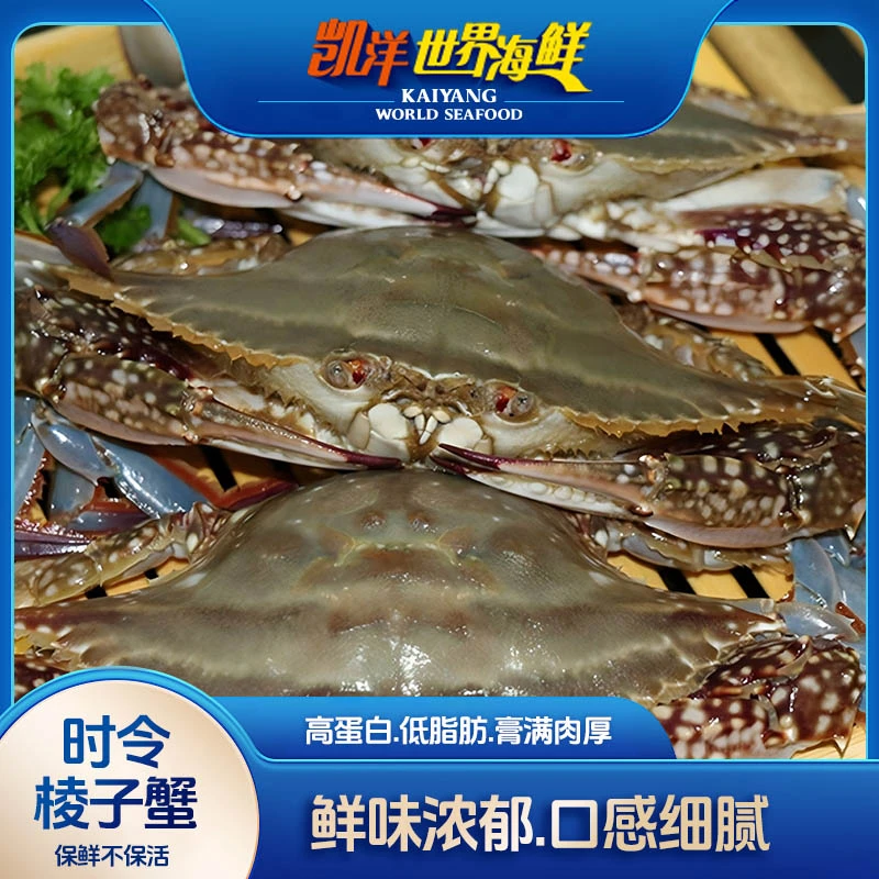 断氧 大连梭子蟹飞蟹 公母混发2-3两/只/3斤【保鲜不保活】不保腿全