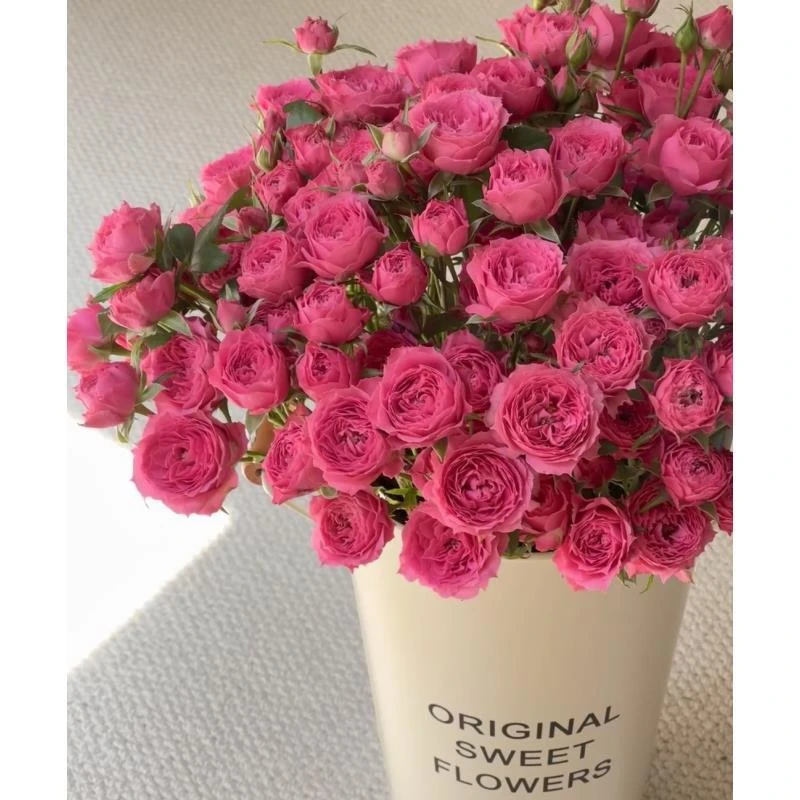 鲜花【苏菲宝贝】同地址两单以上顺丰包邮送货上门+送配草1扎