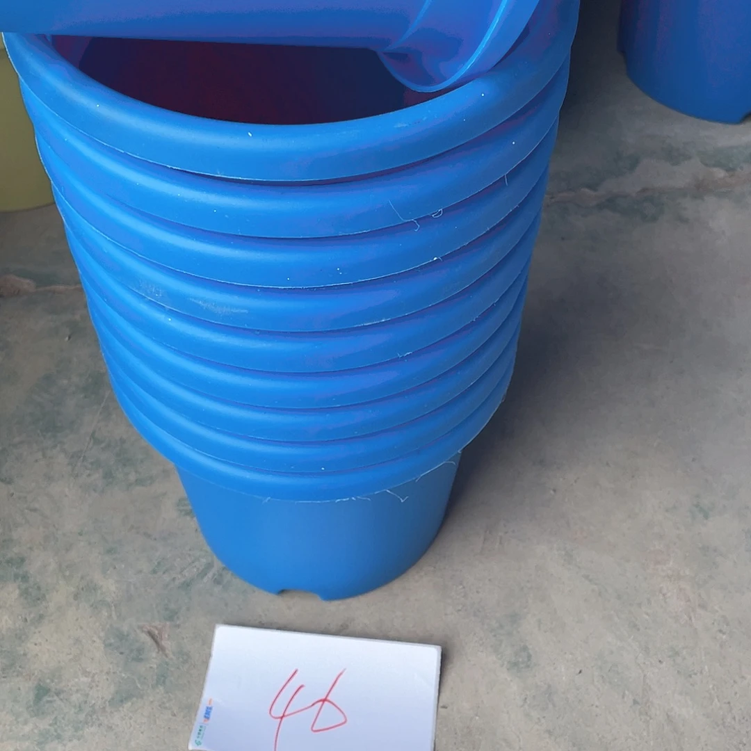 编号是46号的46号的