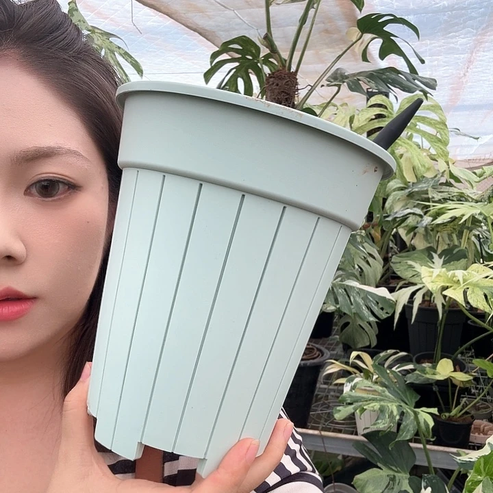 无花朵16口径盆2个送2透气柱
