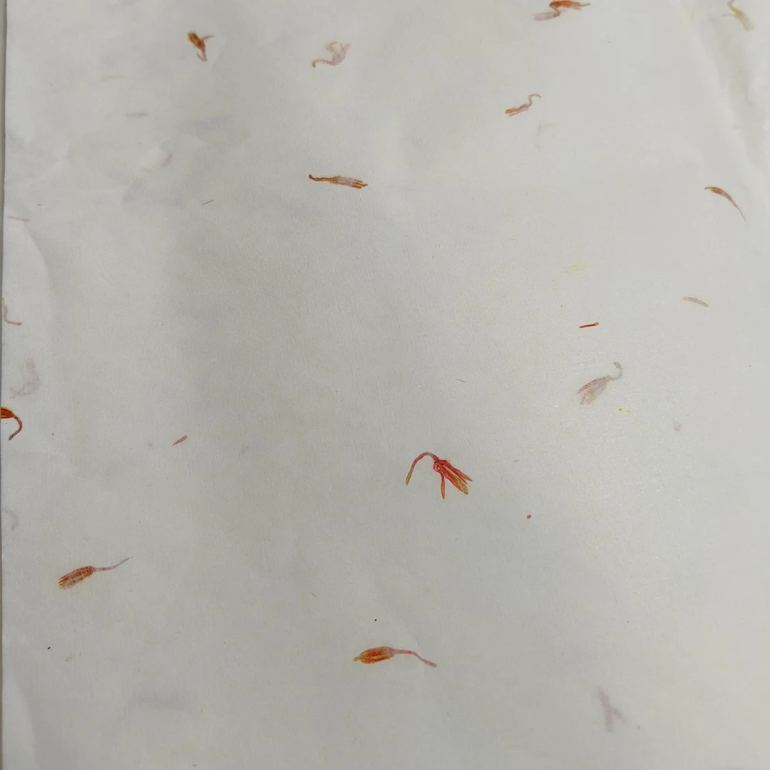 古法高档手工龙须草藏红花青檀皮生宣古法工艺半生半熟作品级宣纸