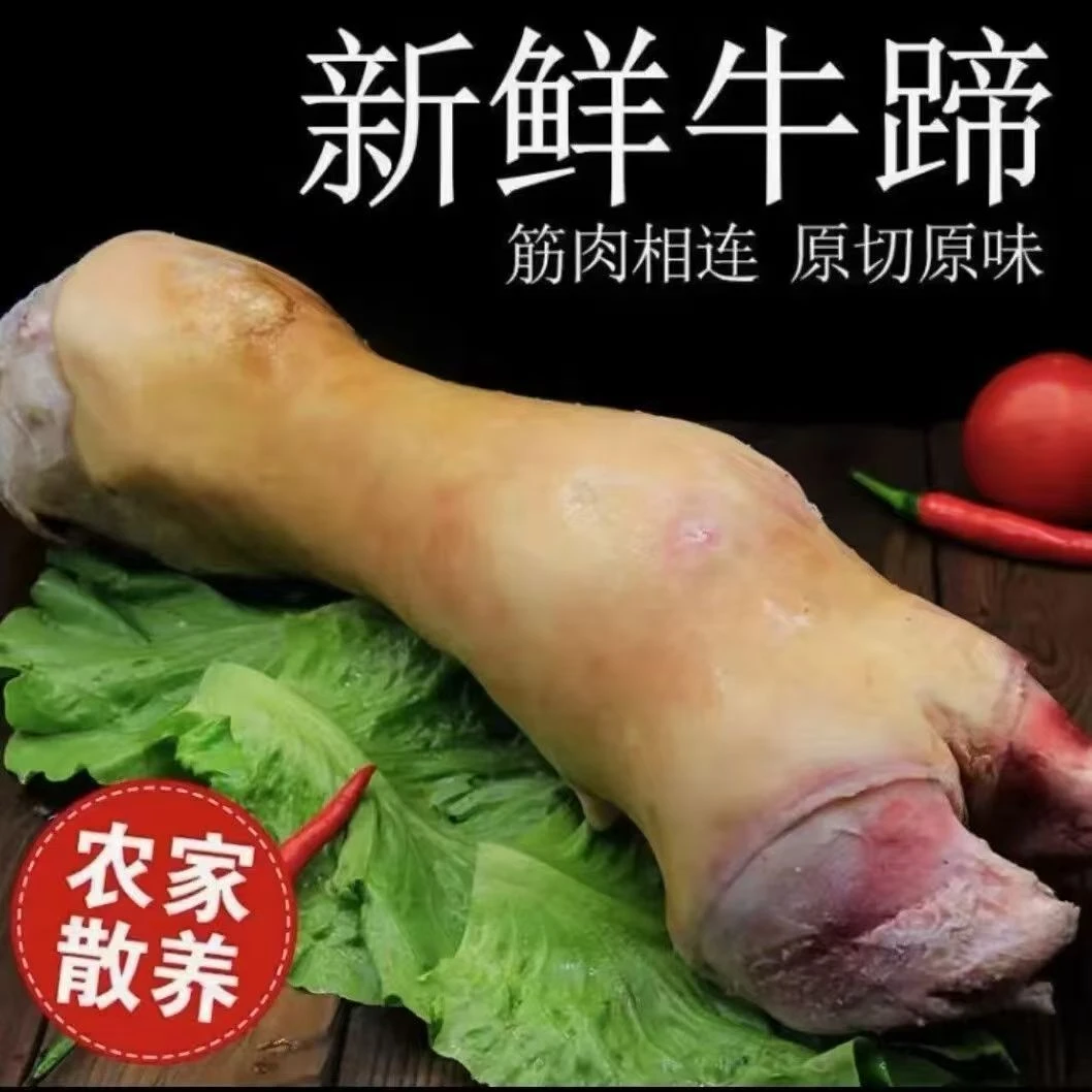 精品原切小黄牛牛蹄带筋带骨炖汤炖肉 五斤装