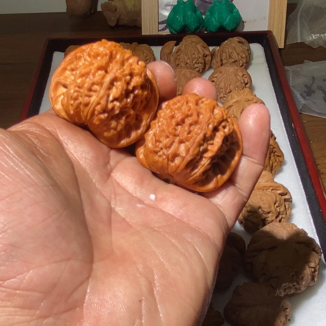 L***H血麒麟。