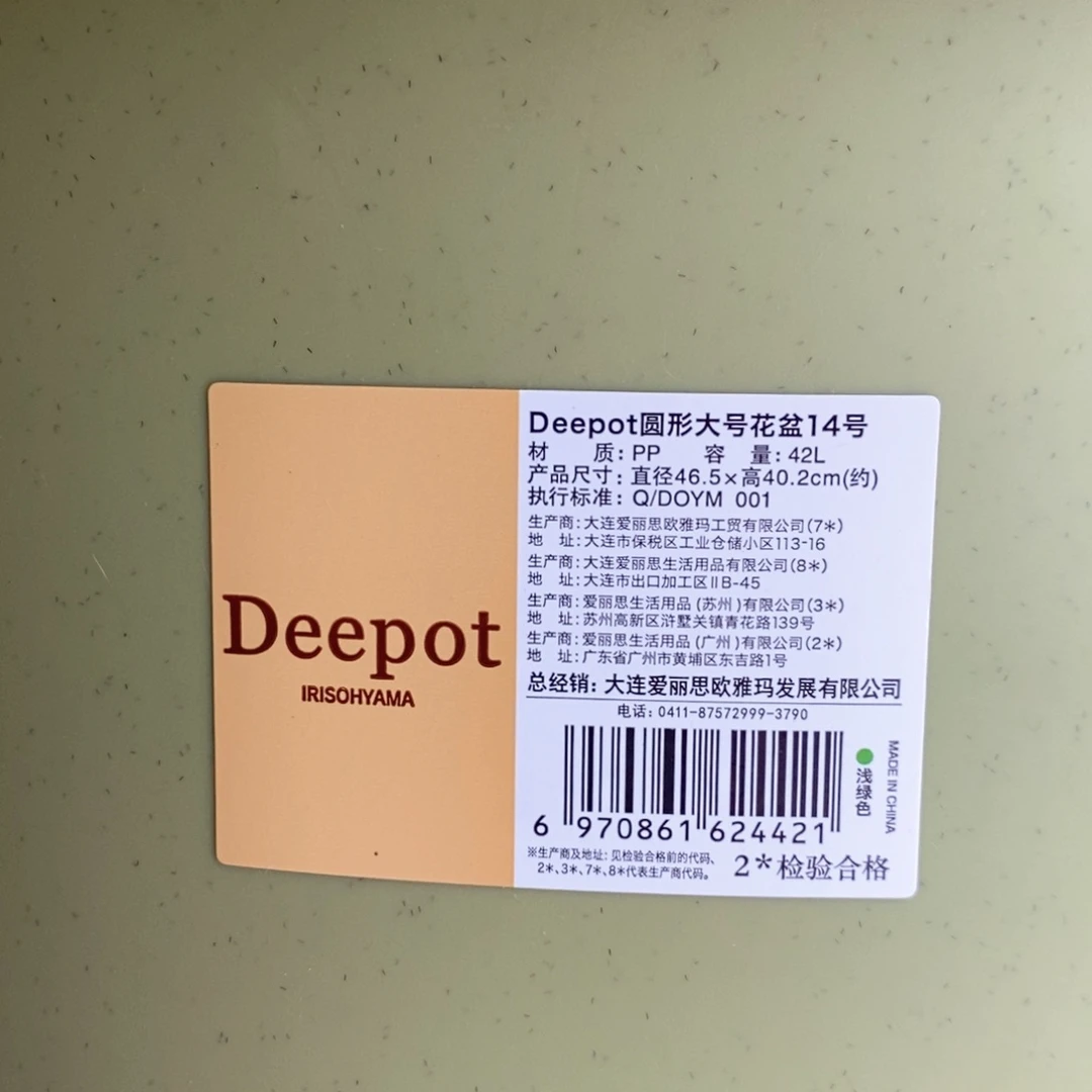 3个爱丽丝14号（46.5×40.2）草绿无托