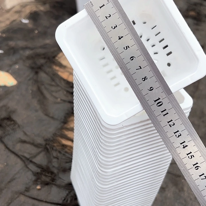 100白方盆9公分高7公分12个