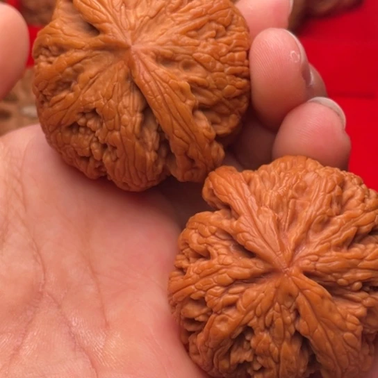 文玩核桃把件秦岭山脉核桃