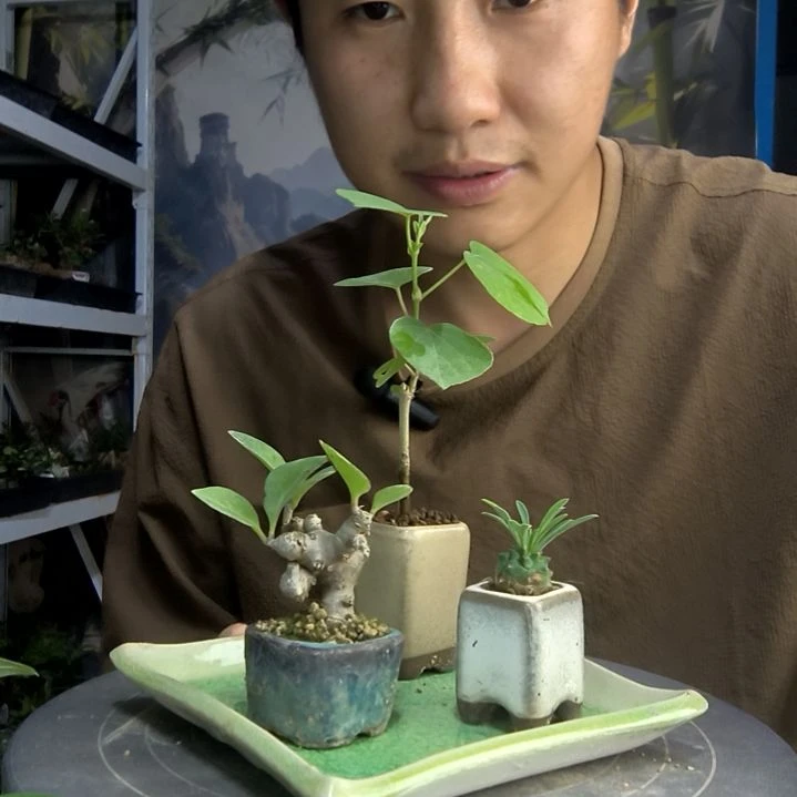 法*弟中青园艺一物一拍3