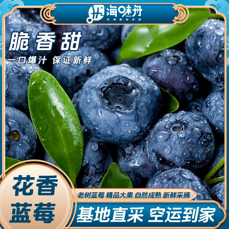 花香蓝莓 基地直采 脆香甜 花青素水果 125g每盒 4盒/6盒顺丰空运