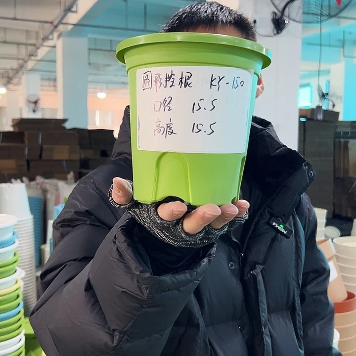 正品圆控口15高15果绿无托10只