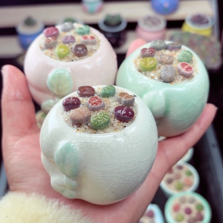 510零下地区记得拍保温箱