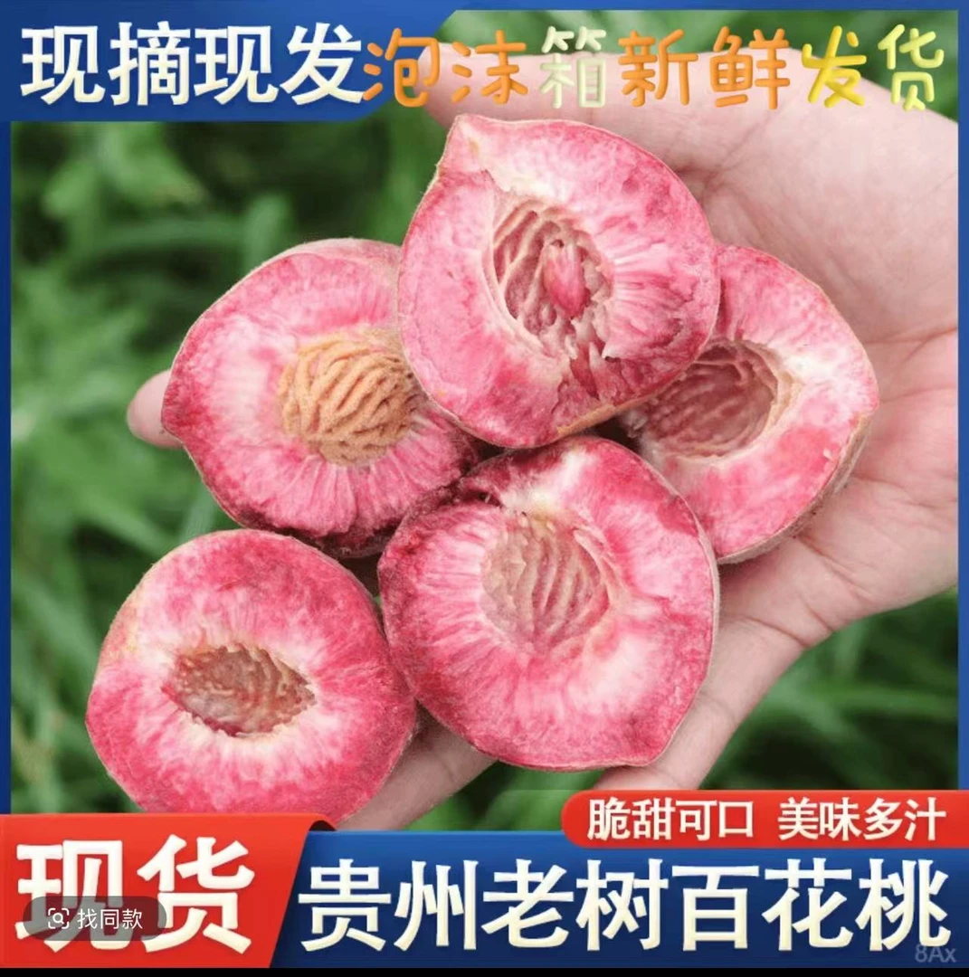 贵州百花桃老品种桃子脆甜爽口毛桃接桃现摘发货