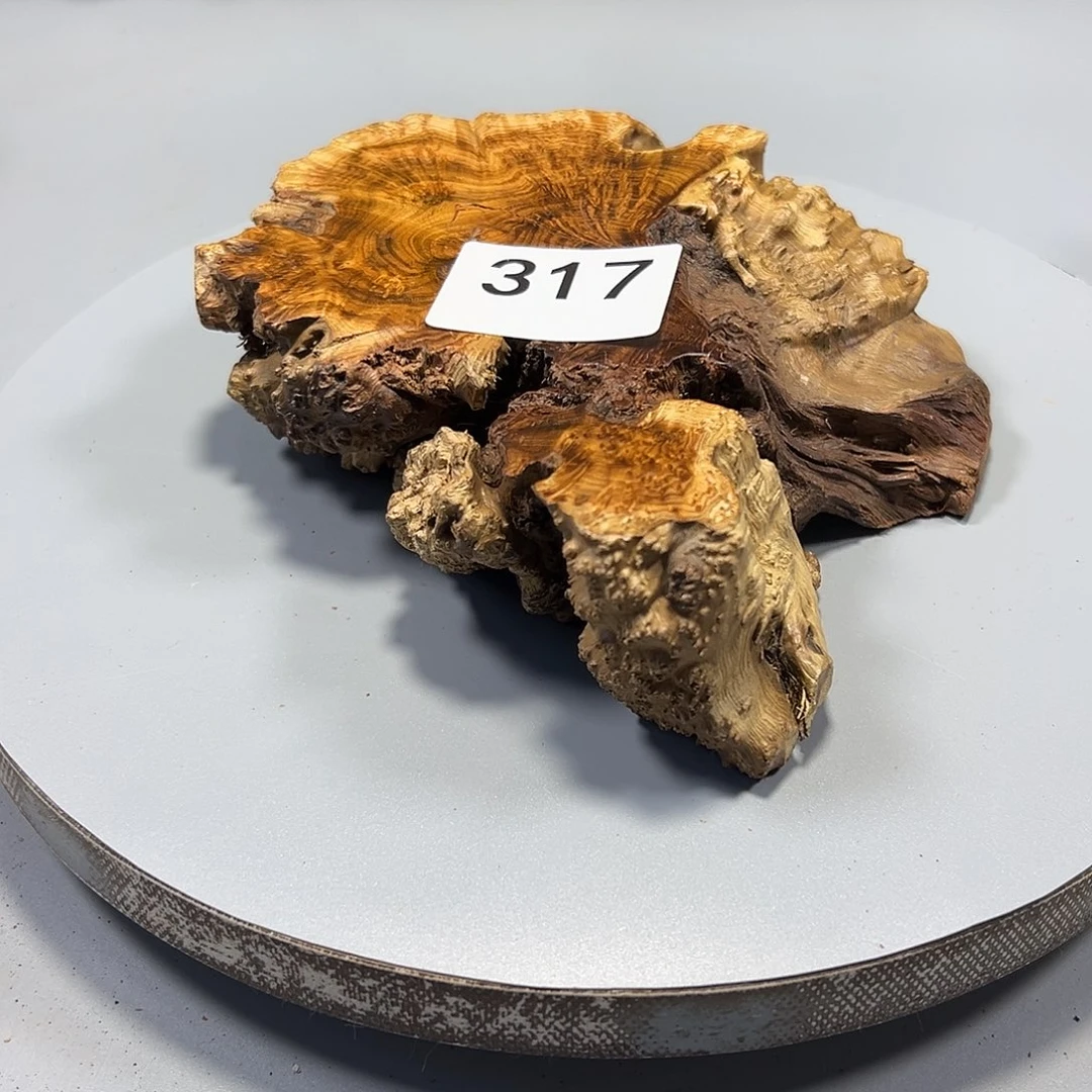 大果紫檀（缅甸花梨）慈*