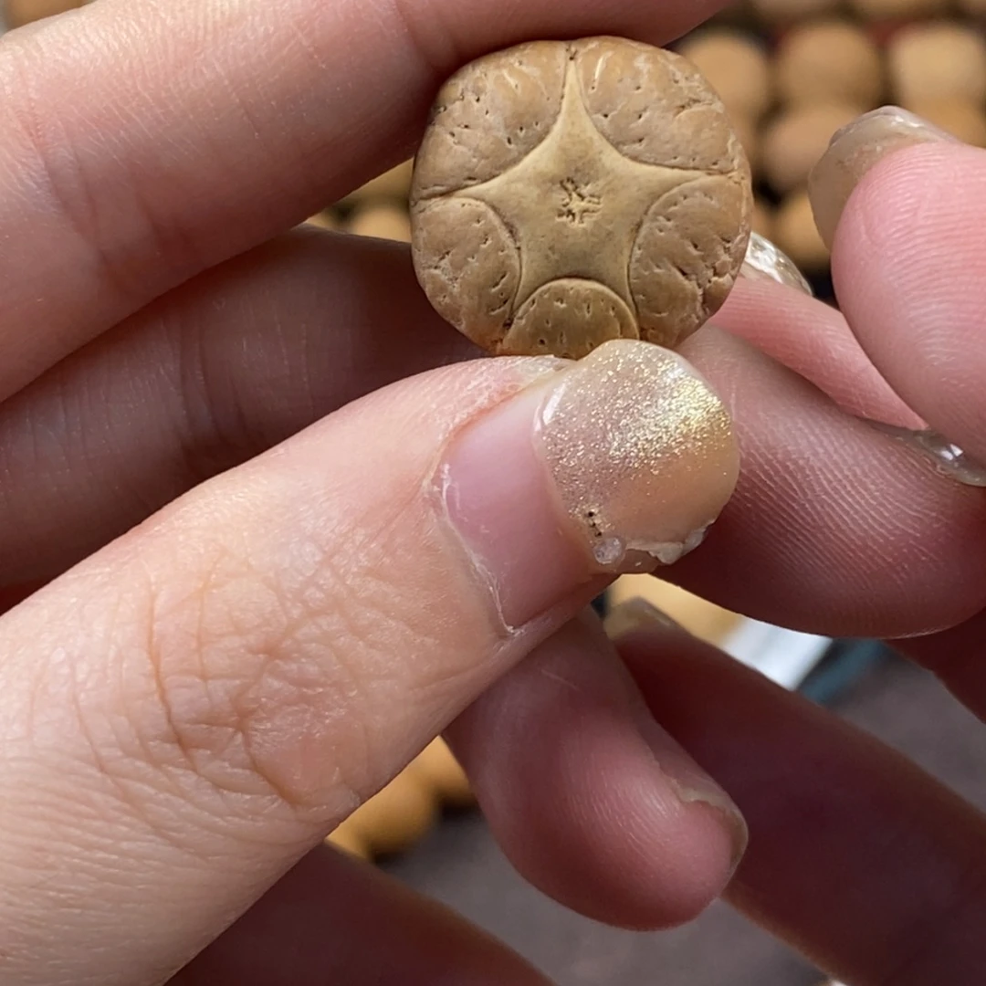 凤眼菩提吊坠五星上将18