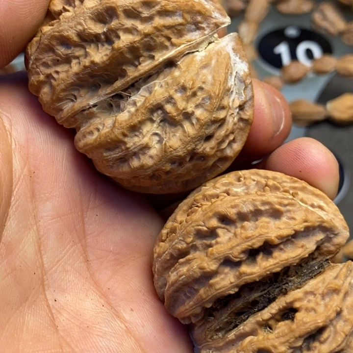 文玩核桃吊坠拿姐工艺95