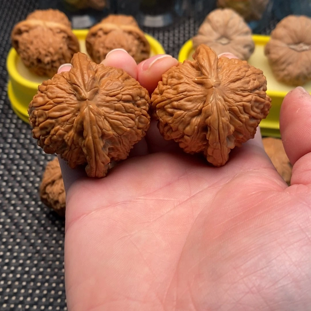 橄榄核手串/手链L*T白狮子