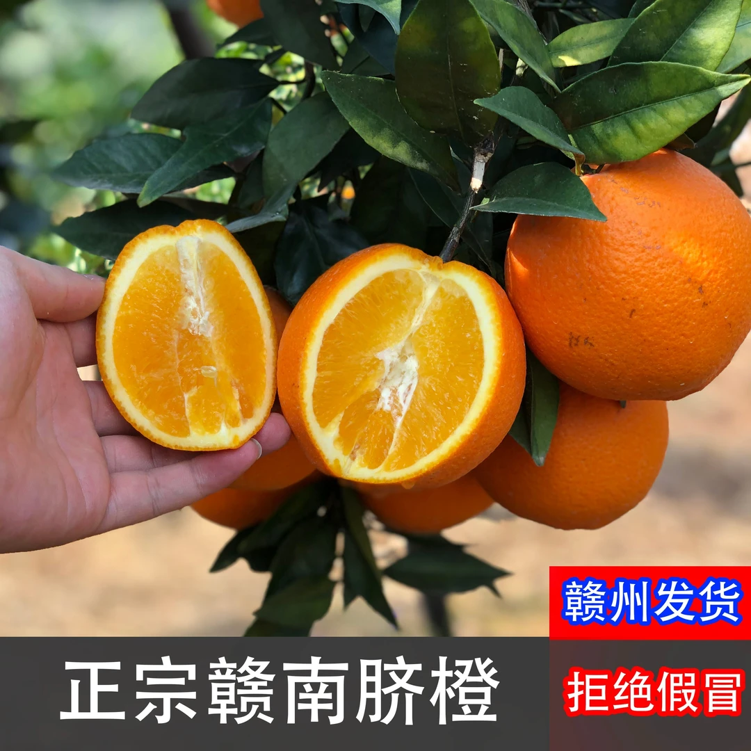 【京东包邮】正宗赣南脐橙新鲜采摘5-10斤装果园直发整箱孕妇果