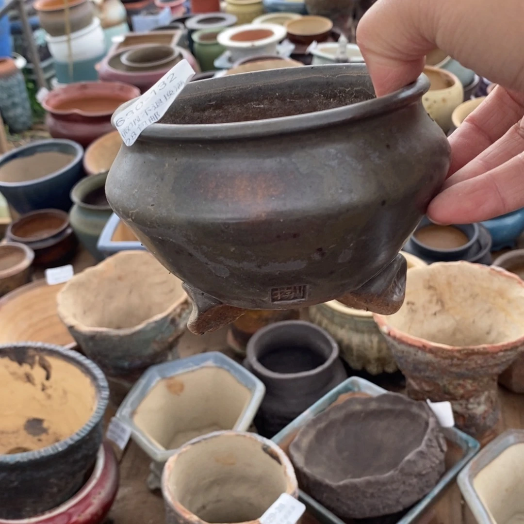 132号多肉盆口径9瑕疵