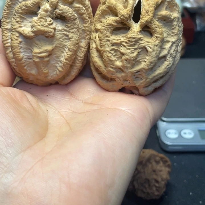 吊坠文玩核桃乾坤鬼脸44福利