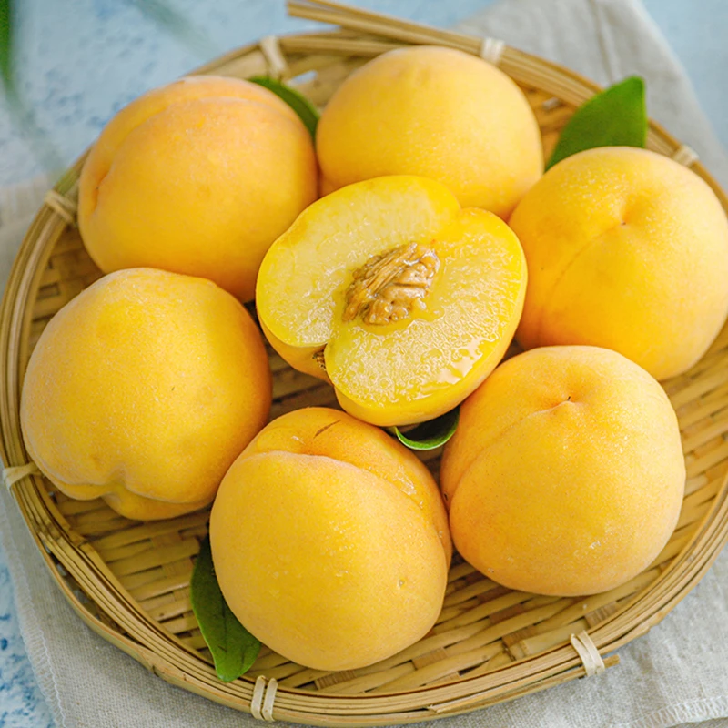 湖北枣阳黄金蜜桃 3斤/4.5斤顺丰发货应季水果脆甜多汁