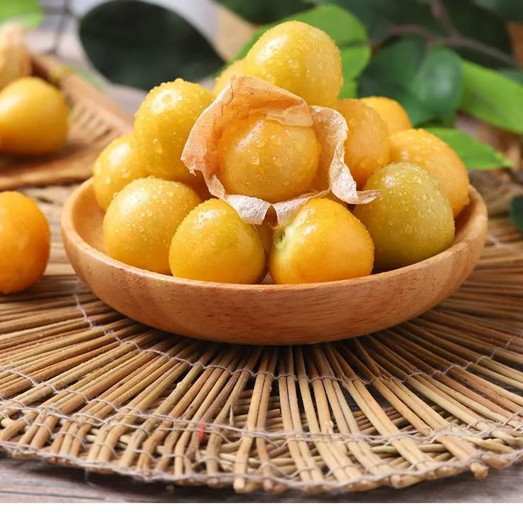 东北姑娘果灯笼果香甜可口新鲜应季水果产地直发