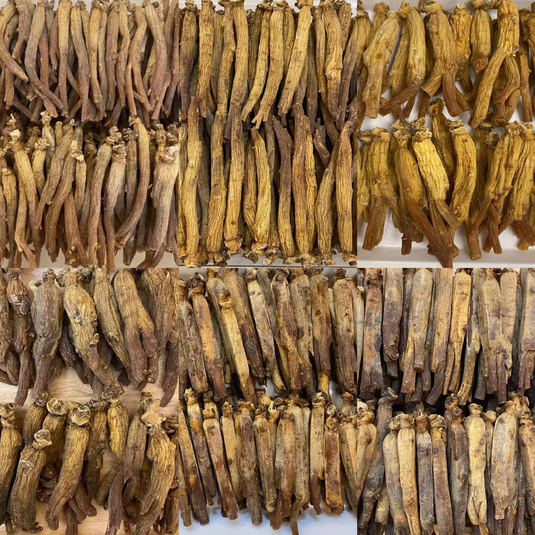 【捡漏】开成大丁 600克 人参丁