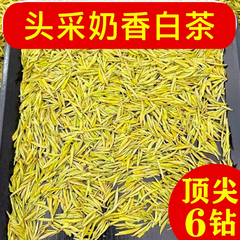 2025新茶奶白茶【奶6】珍稀白茶春茶叶绿茶春茗罐装礼盒装