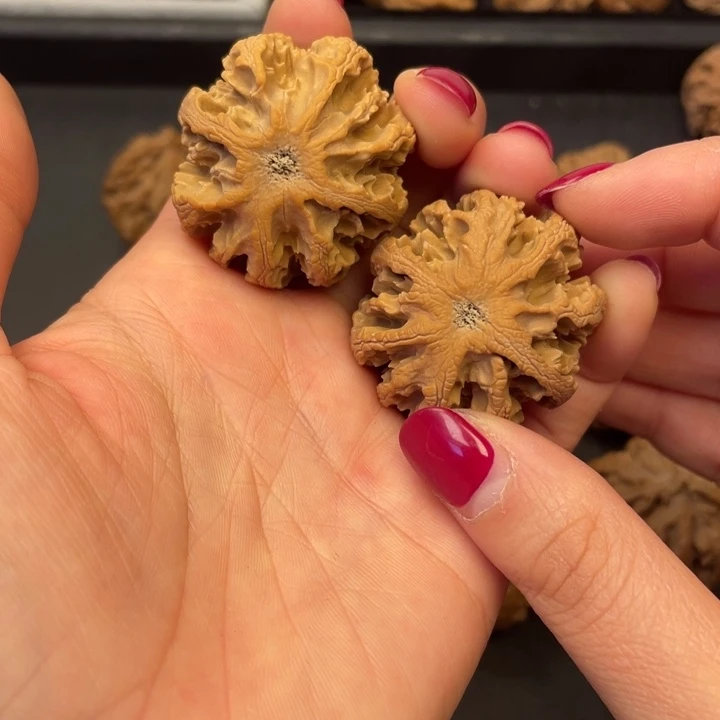 吊坠文玩核桃突突突突