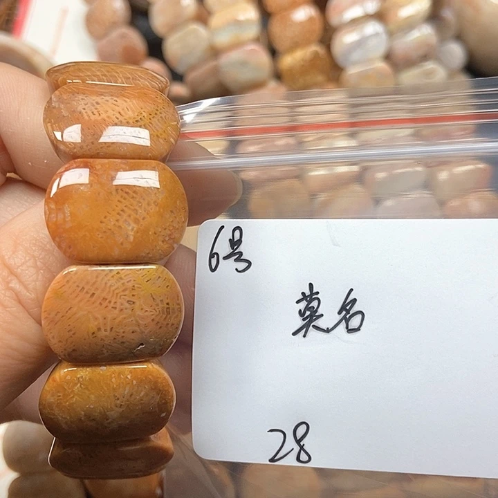 硅化珊瑚（珊瑚玉）手镯未镶嵌莫*6
