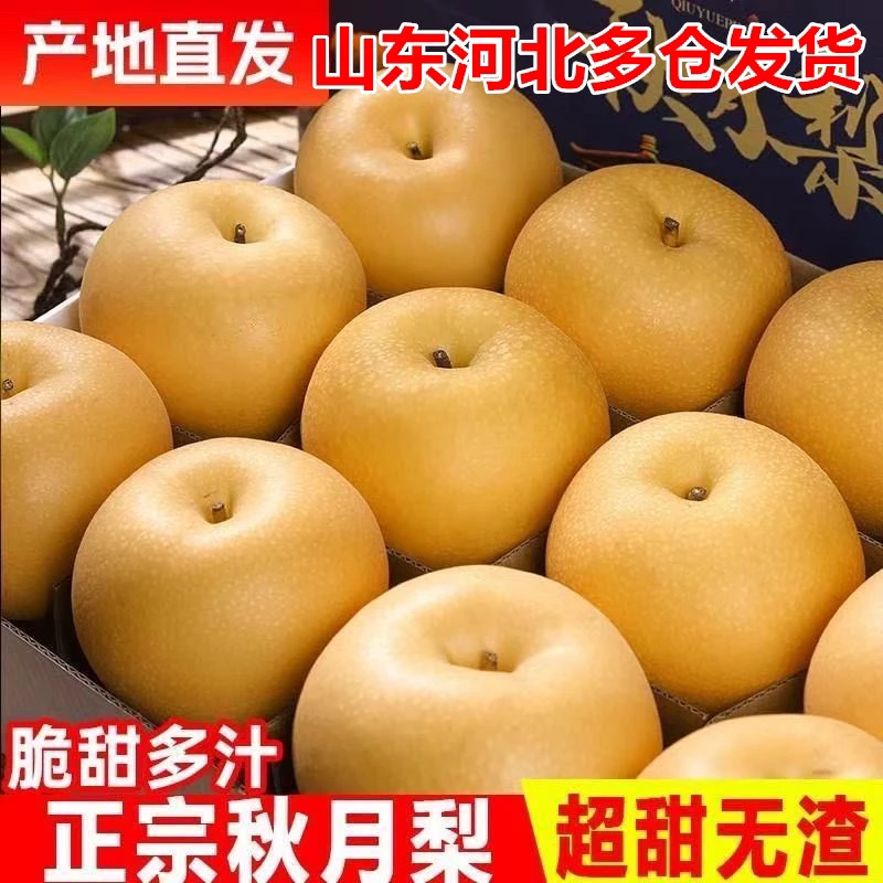 正宗秋月梨新鲜现摘脆甜多汁当季水果