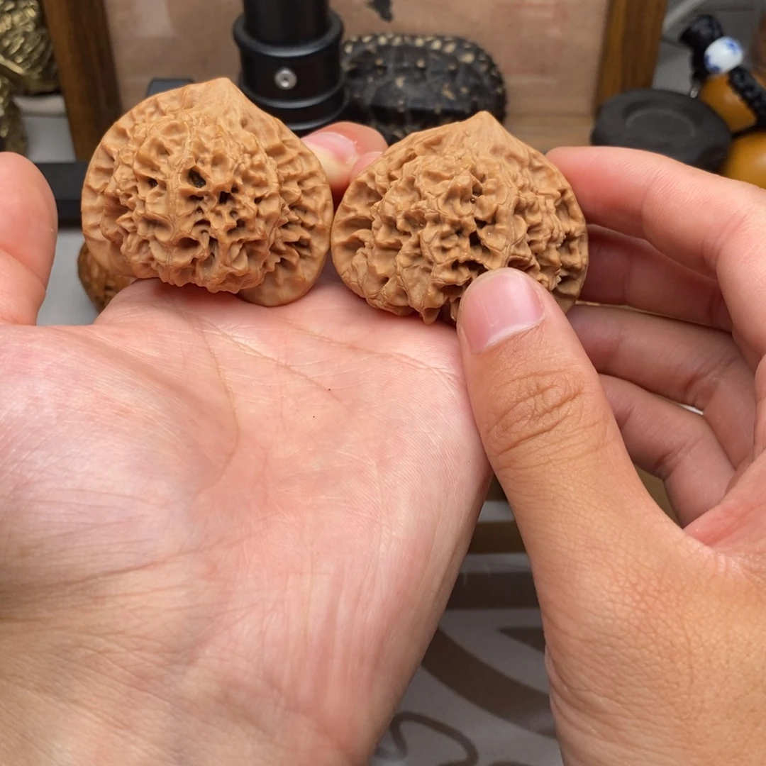 官帽哈哈哈哈哈哈