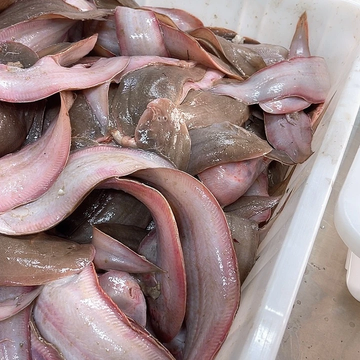 6条左右一斤的龙利鱼，踏目鱼，大河尖