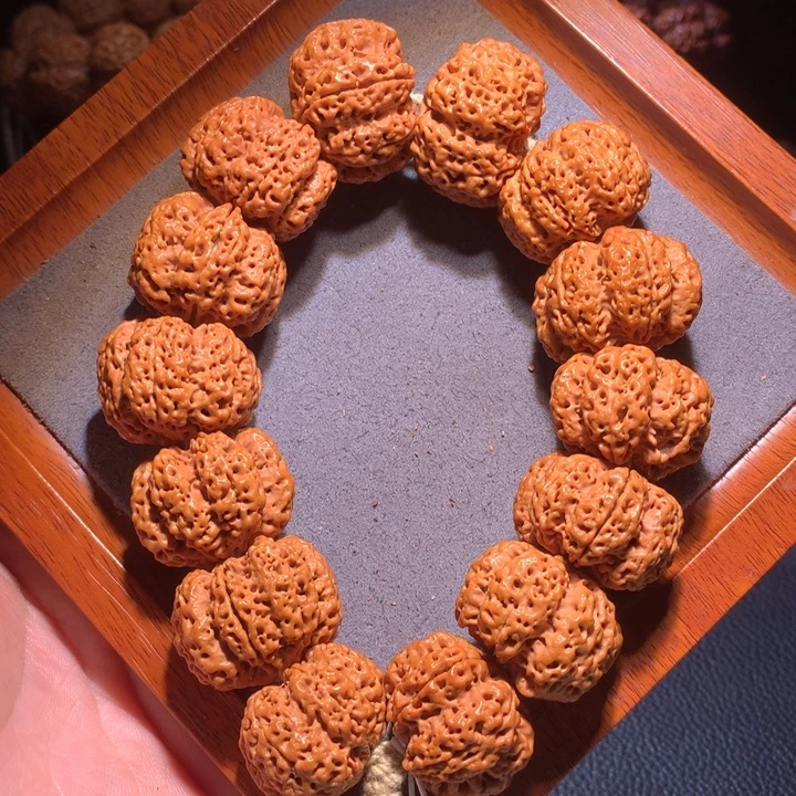 菩提籽类27+云巅六瓣