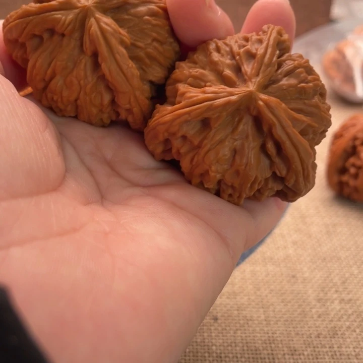 变***兽核桃白狮子45核桃