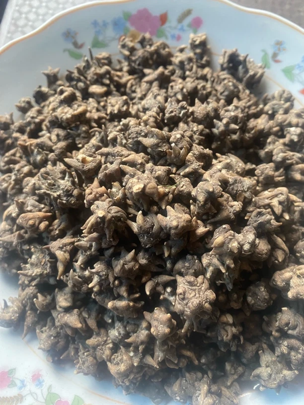 湖南野生猫爪草现货