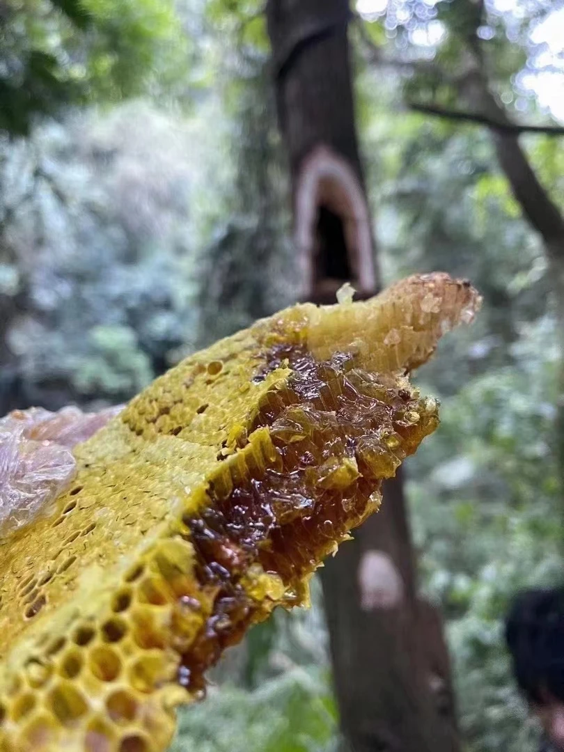 【飞飞精选】云南崖蜜 煲汤汤料