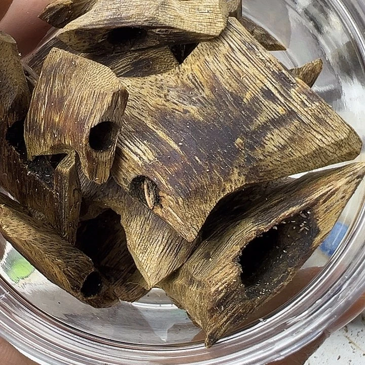 沉香沉香碎屑乌身50克+