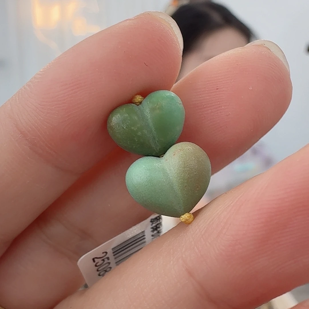 绿松石18K金镶嵌珠宝奇石