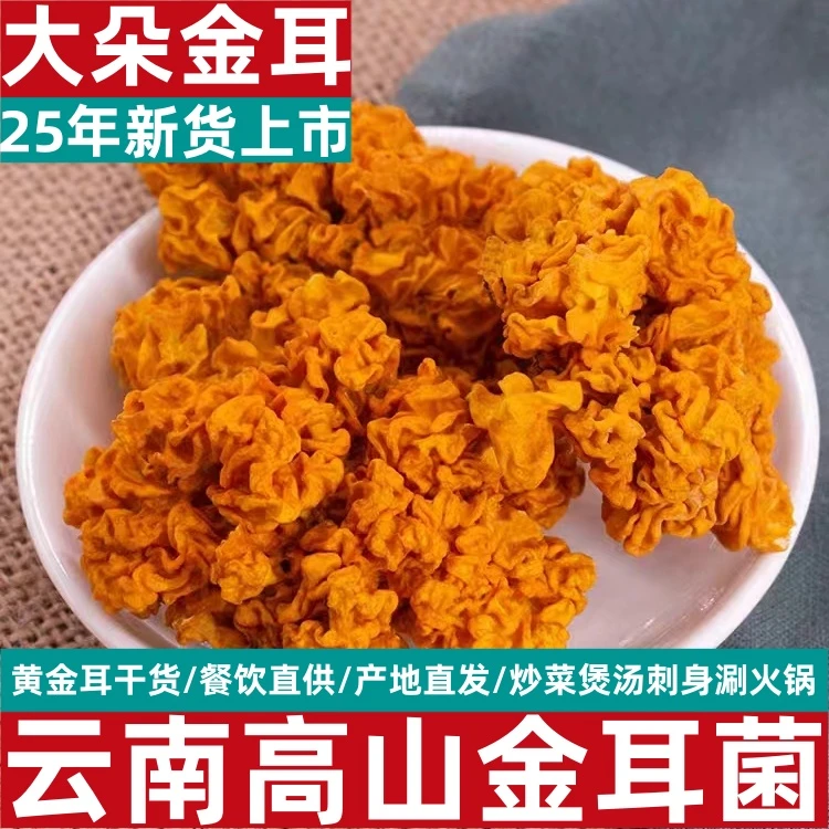 云南特产金耳菌干货可做银耳羹的黄木耳刺身正宗山货金耳干