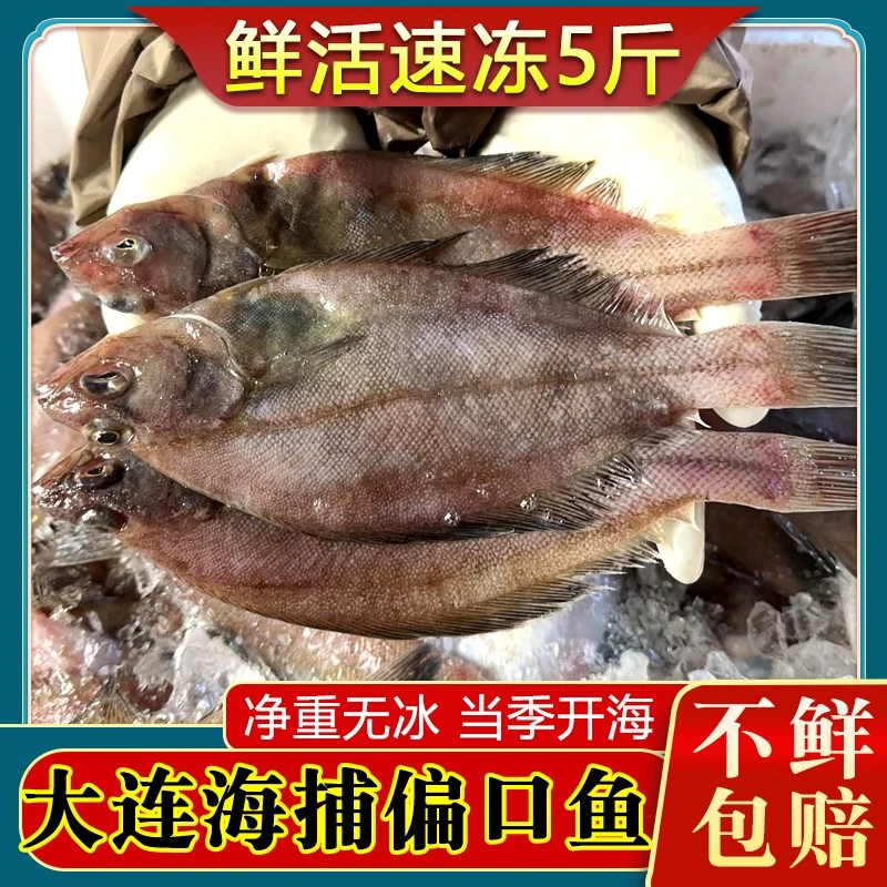 大连新鲜冷冻偏口鱼小扁口鱼比目鱼长脖鱼鼓眼鱼鲽鱼左口鱼多宝鱼
