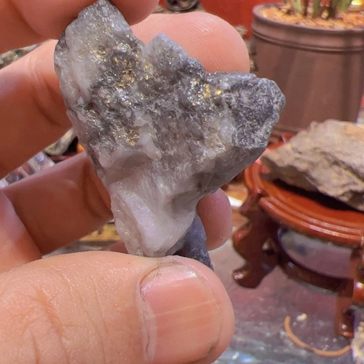 聚金阁的自然金标本