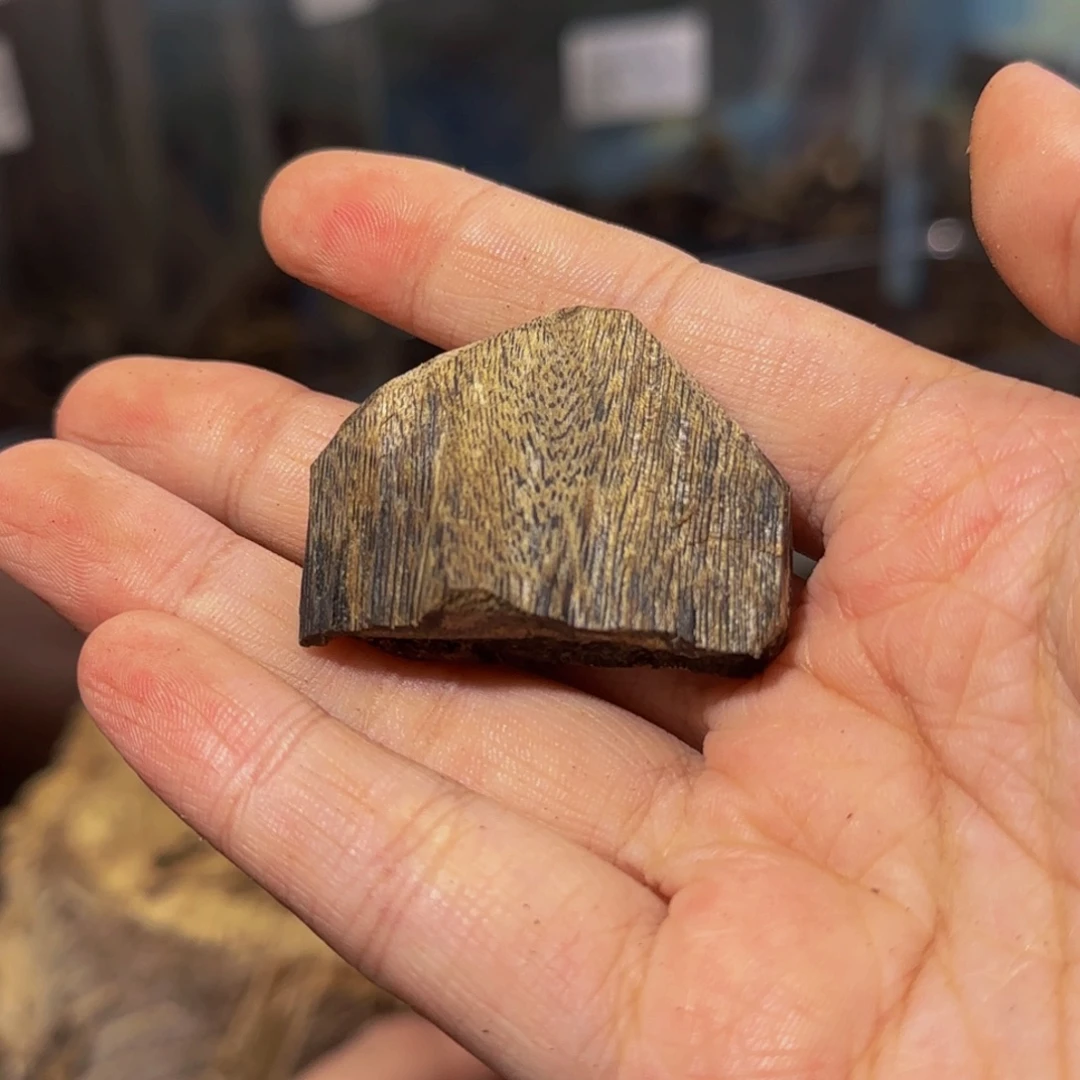 沉香沉香碎屑5.2克71