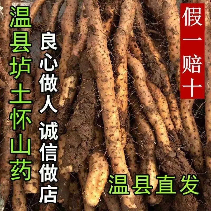 【温县直发】正宗温县垆土铁棍怀山药新鲜采挖(顺丰包邮)