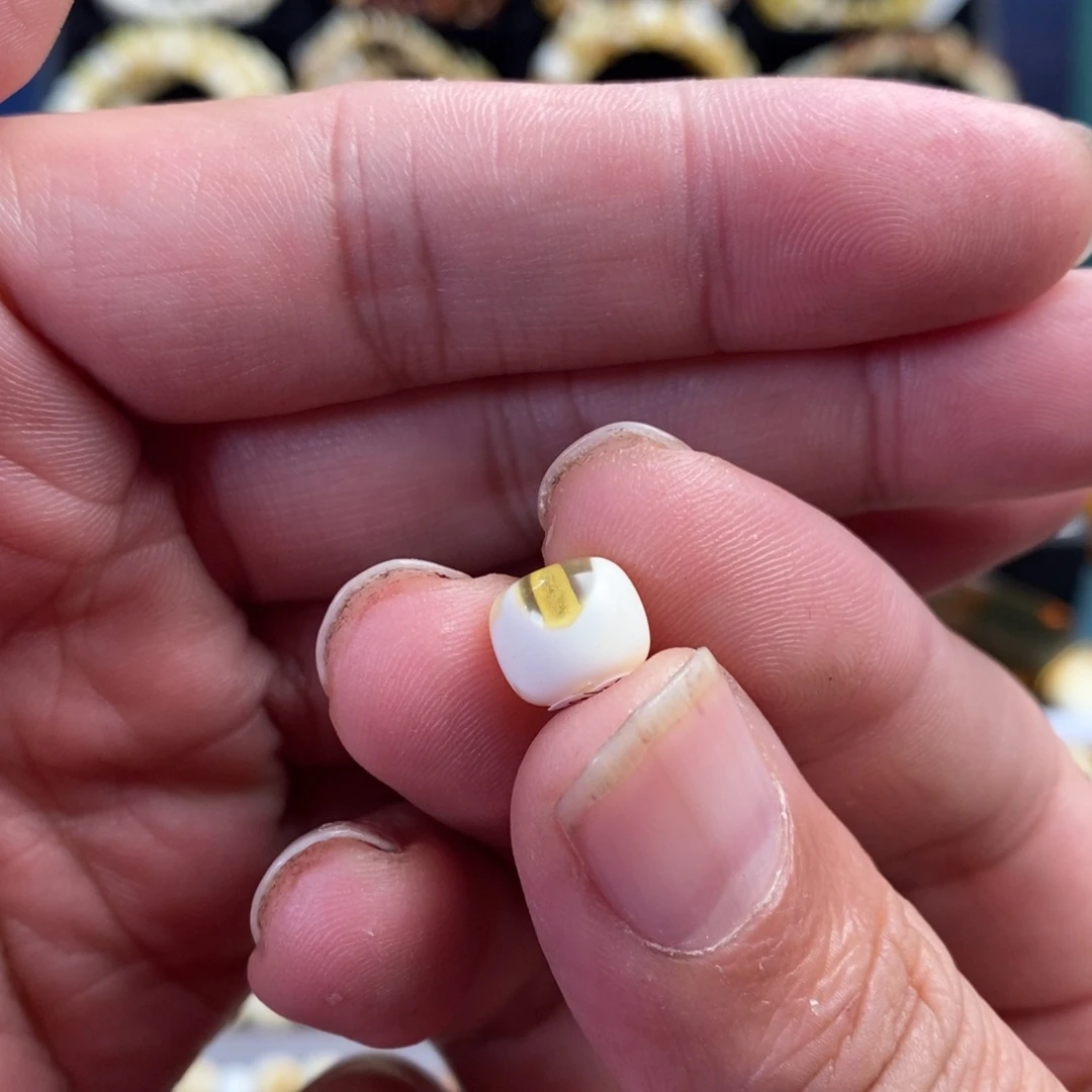 蜜蜡未镶嵌裸石9.6mm